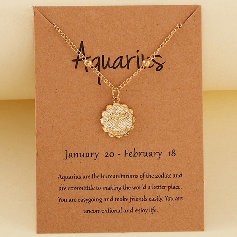 Aquarius January-February Zodiac Charm Necklace